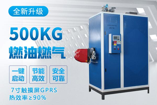 新葡的京集团350vip8888500公斤蒸汽发生器